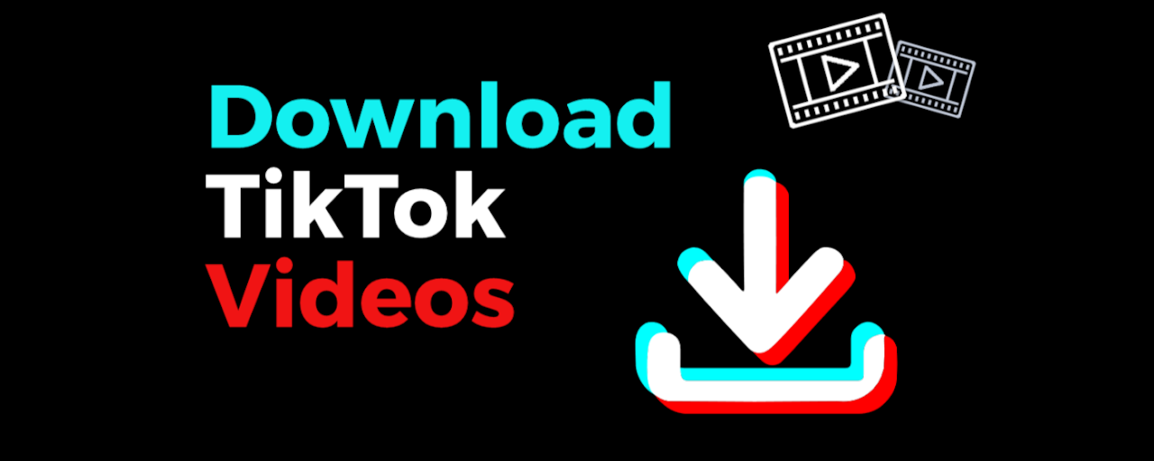 TikTok downloader without watermark & bulk Preview image 1
