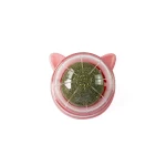 B- pink 001