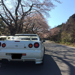 スカイライン GT-R BNR34