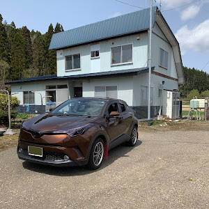 C-HR NGX50