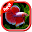 Betta Fish 3D Wallpaper Download on Windows
