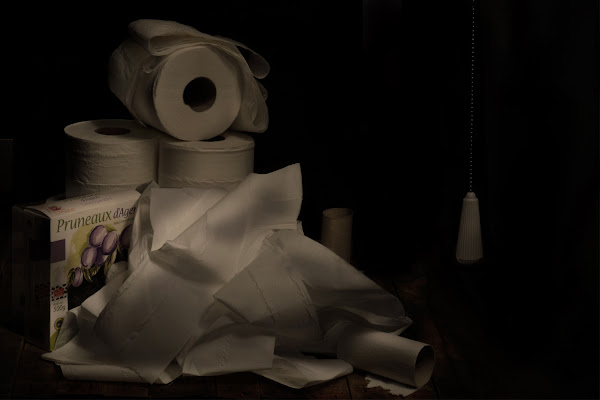 Double Voile di 7roses