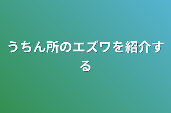 うちん所のエズワを紹介する