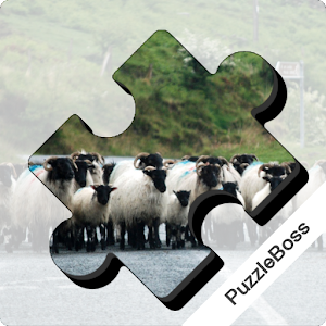 Jigsaw Puzzles: Ireland