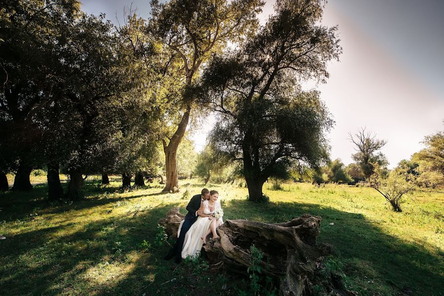 Photographe de mariage Petr Molla (mollap). Photo du 21 juillet 2016