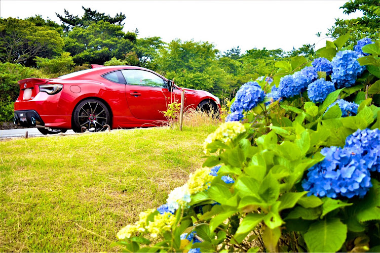 86のアネスト岩田ターンパイク箱根・伊豆スカイライン・あじさい・梅雨写真に関するカスタム事例の投稿画像1枚目