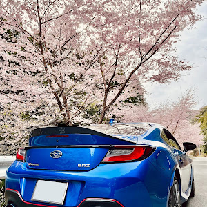 BRZ ZD8