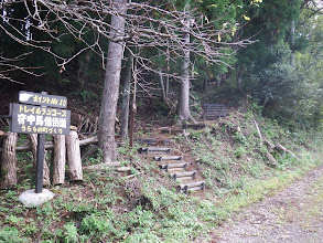 林道の左に登山口