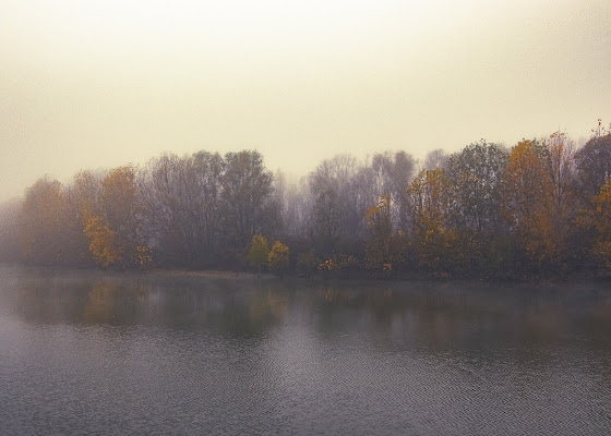 isola degli internati di vincenzo_spera