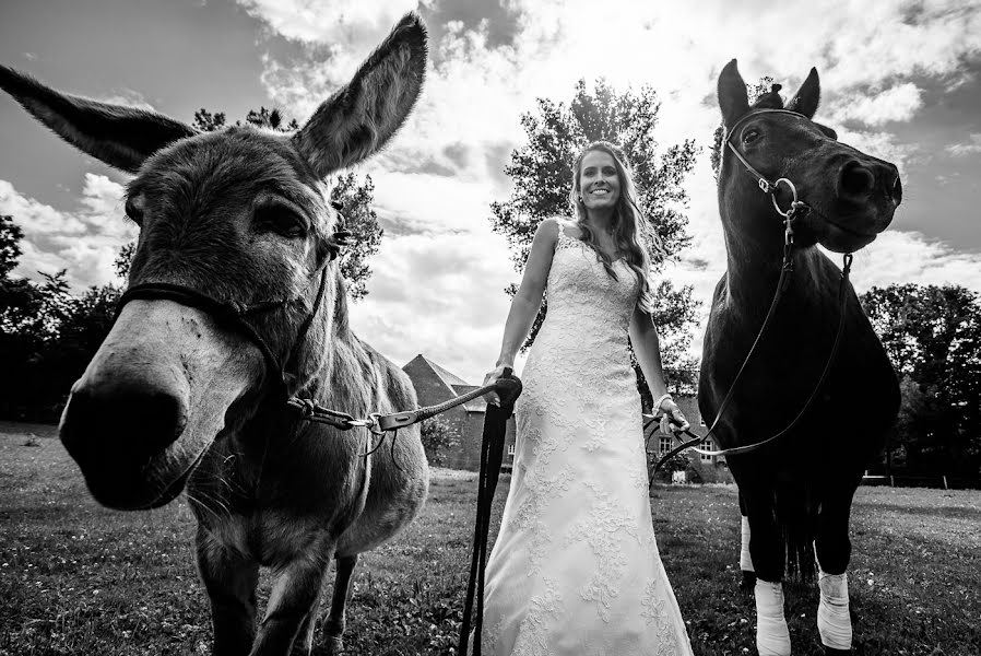 Fotógrafo de bodas David Hallwas (hallwas). Foto del 12 de marzo 2018