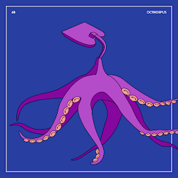 48 OCTHOEPUS