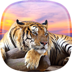 Cover Image of 下载 Tiger Live Wallpaper 1.5 APK