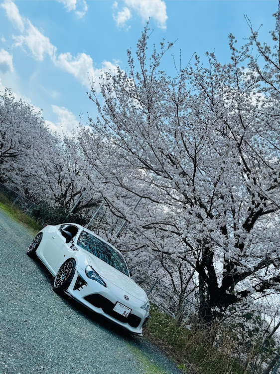 86の桜コラボ🌸・zn6・86gr・86に関するカスタム事例の投稿画像1枚目