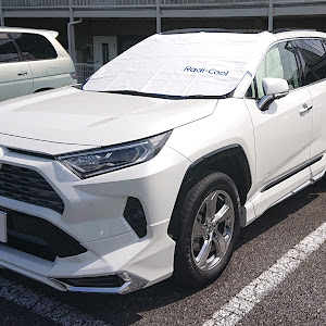 RAV4 AXAH54