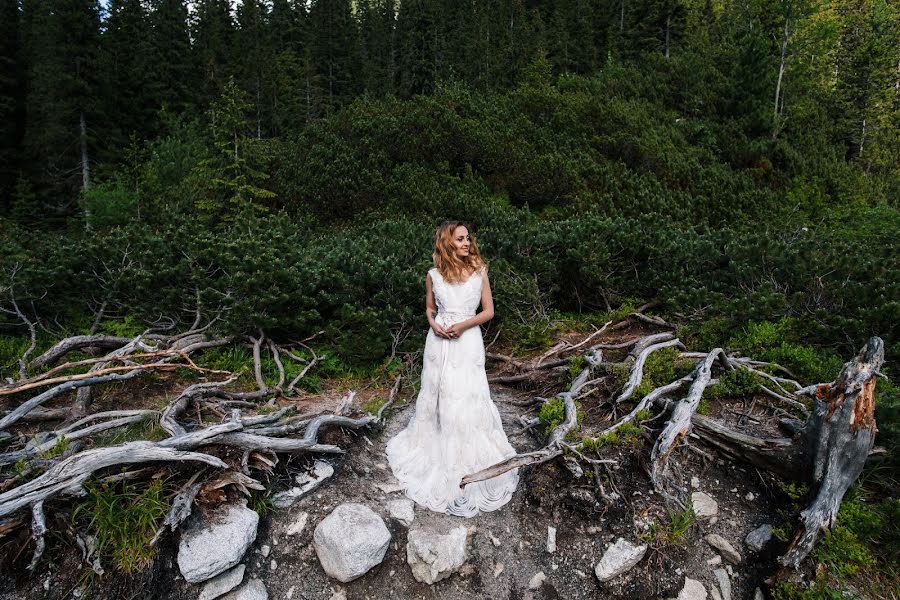 Fotógrafo de casamento Andrey Zankovec (zankovets). Foto de 30 de junho 2017