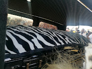 The casket containing Prince Mangosuthu Buthelezi loaded into a hearse for his final journey home