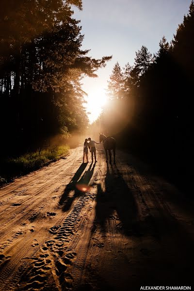 Fotógrafo de bodas Aleksandr Shamardin (shamardin). Foto del 18 de julio 2018