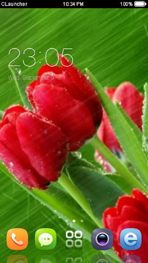 Best Rose Theme C Launcher