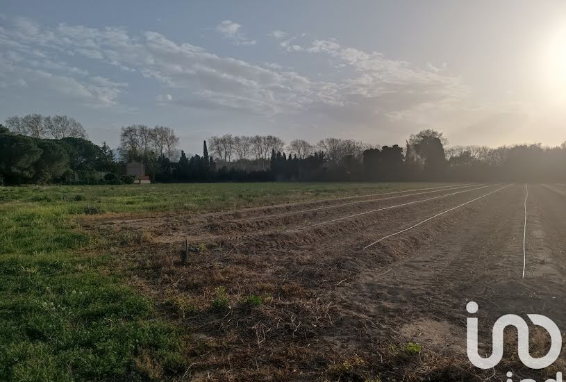  Vente Terrain agricole - 27 449m² à Elne (66200) 