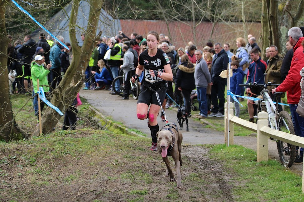 Chiens d'or 2018