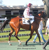 Prix Karcimont 2015 (St., hand., Auteuil) 1-03 : Jemy baie PKNF9W0lPukGutkGvdmBRHY8aLfUgCqTaF0K3GI45z6B=w166-h170-p-no