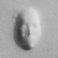 Snowface di 