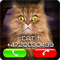 Fake Video Call Cat