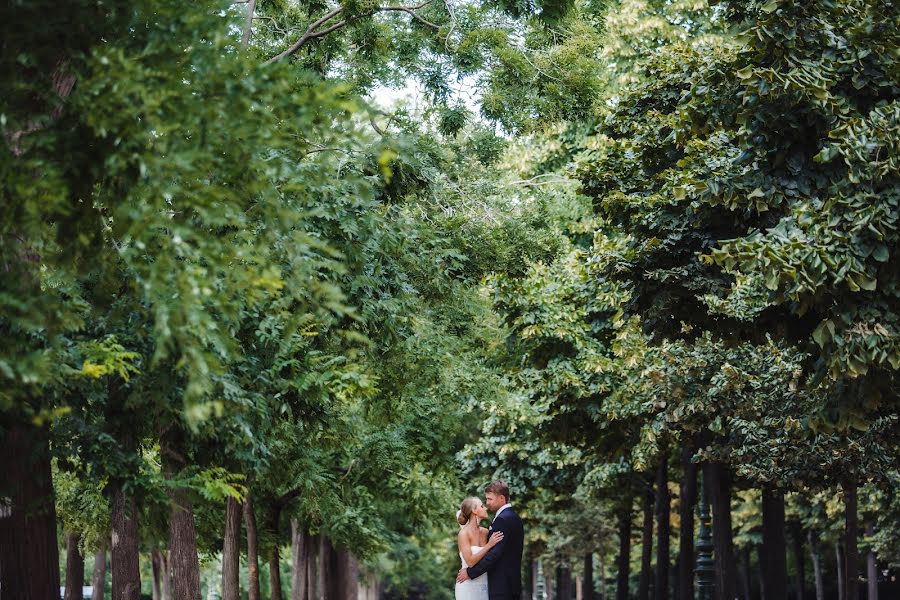 Fotógrafo de casamento Denis Osipov (svetodenru). Foto de 21 de dezembro 2019