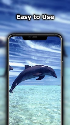 かわいいイルカの壁紙 Androidアプリ Applion