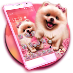 Cover Image of Download Prettiest Puppy Whelp 1.1.7 APK