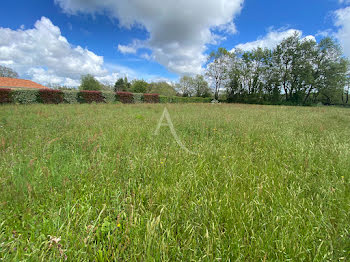 terrain à Talmont-Saint-Hilaire (85)