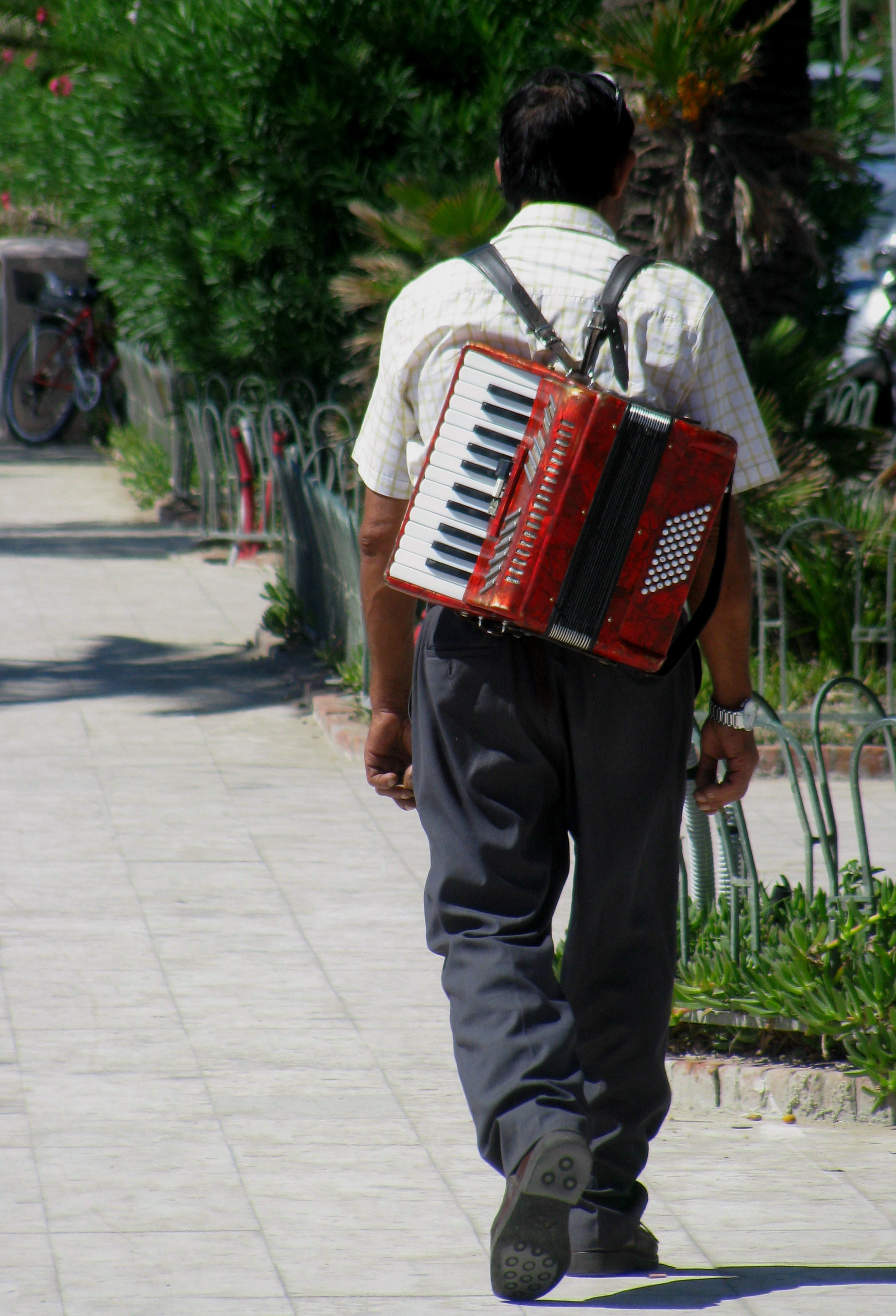 La Musica è Tutto Quel Che Ho di Elisabetta Di Girolamo