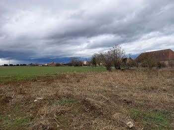 terrain à Oberhergheim (68)