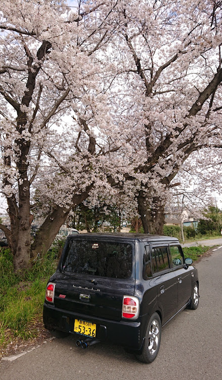 の投稿画像2枚目