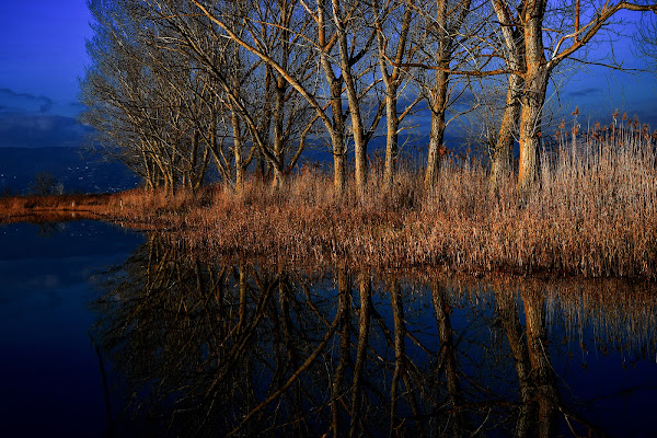 Riflessi di fine giornata di annalisaphoto