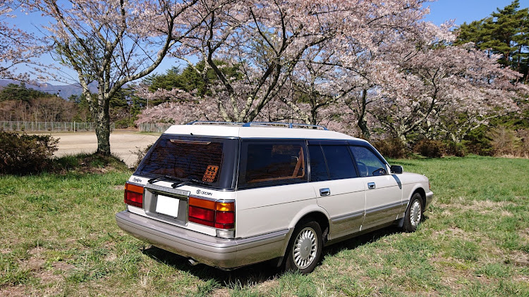 クラウンステーションワゴンのドライブ・サクラと愛車・桜とコラボ・1JZ-GEに関するカスタム事例の投稿画像2枚目