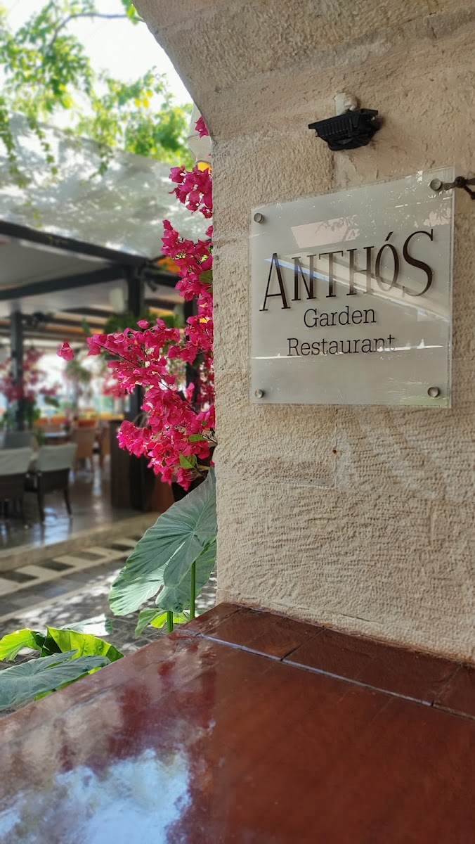 Gluten-Free at Anthos Restaurant