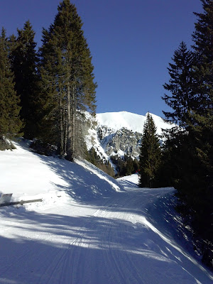 Merano 2000 di TerryBattaglioni