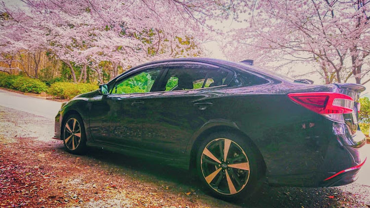 インプレッサ G4のドライブ・お花見・桜とコラボ・SUBARUに関するカスタム事例の投稿画像3枚目