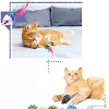 miniatures image - 2