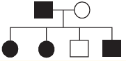 Pedigree Analysis