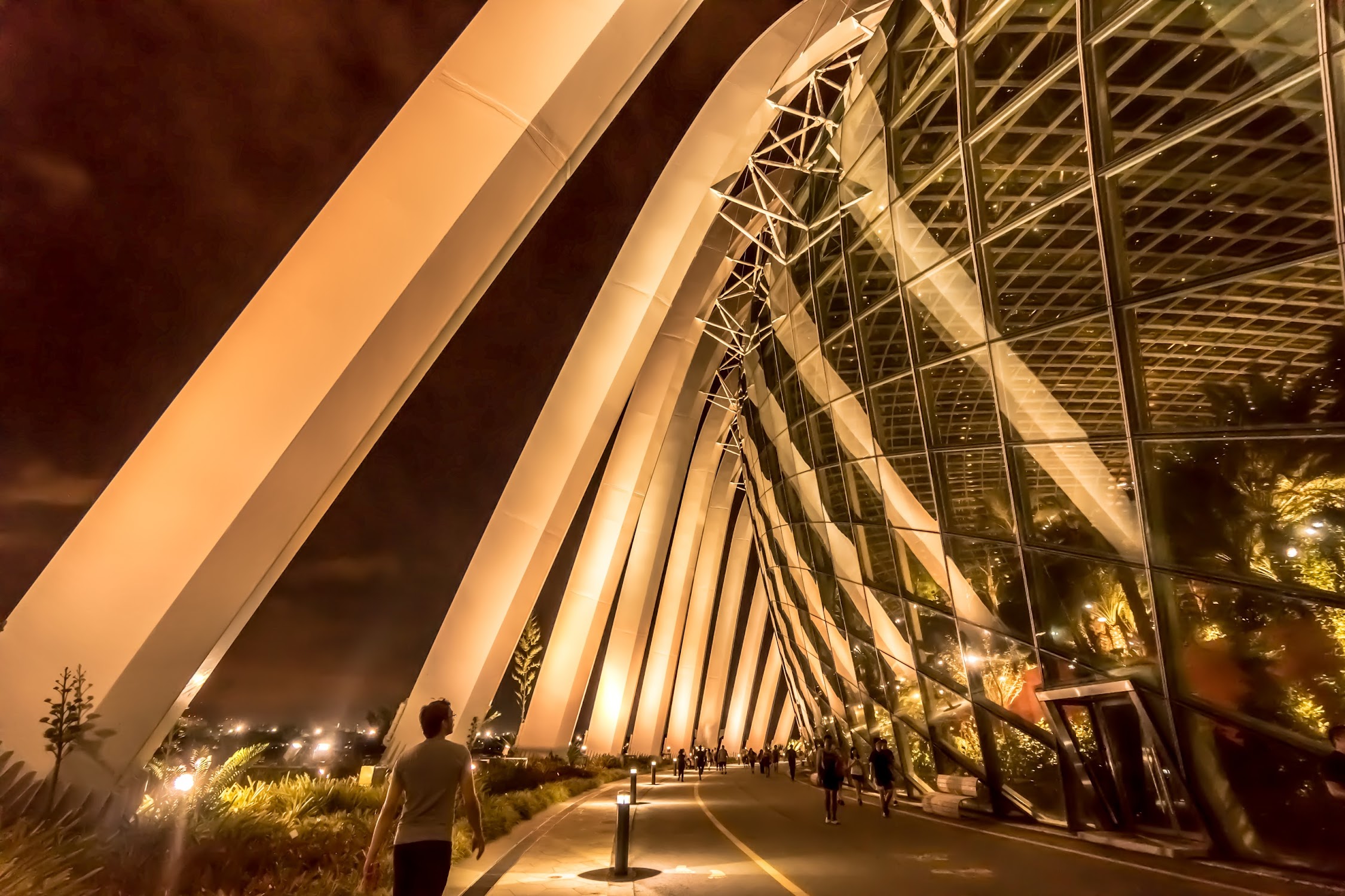 Gardens by the Bay Flower Dome night view2