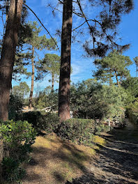 maison à Lege-cap-ferret (33)