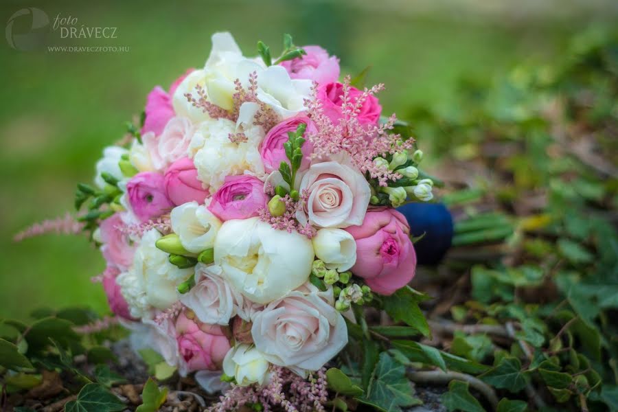 Wedding photographer Ferenc Drávecz (dravecz). Photo of 3 March 2019