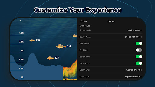Screenshot Project A Sonar