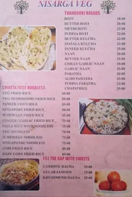 Nisarga Veg menu 3