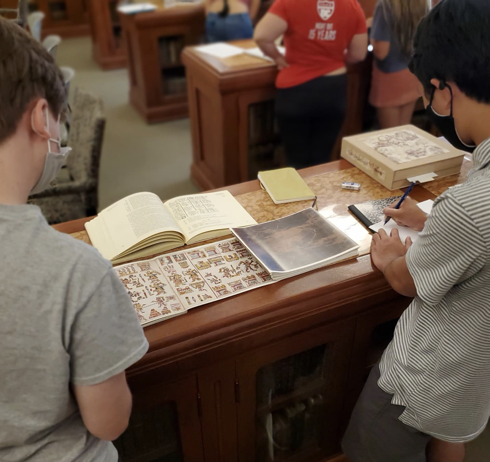 Library Displays & Exhibits