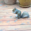 Eastern Gray Squirrel