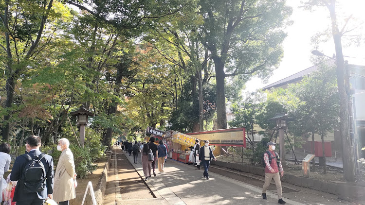 ソアラの武蔵一宮氷川神社に関するカスタム事例の投稿画像6枚目