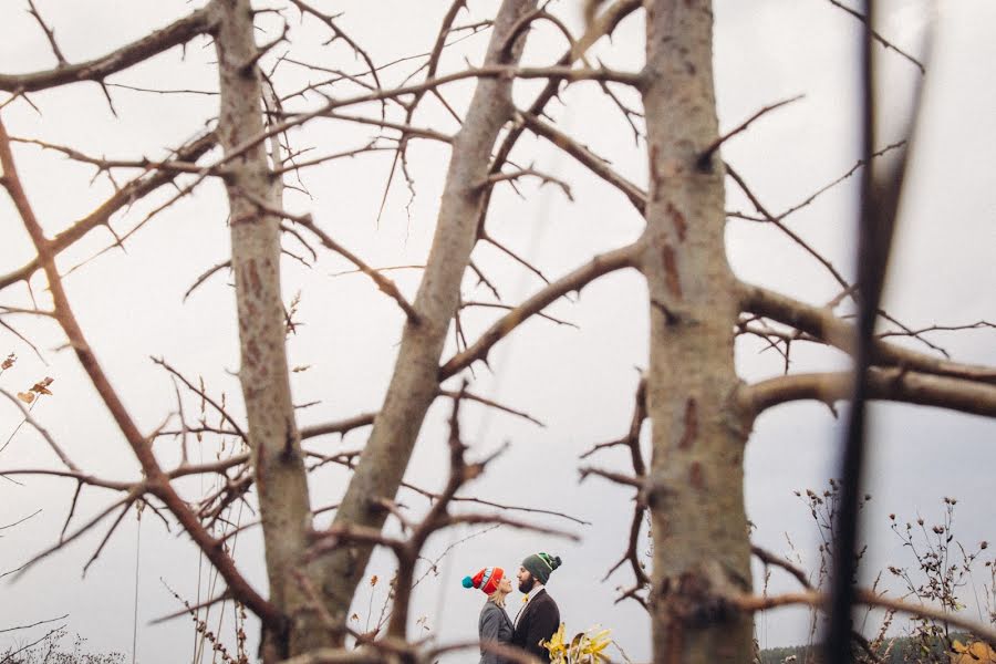 Photographe de mariage Stas Novikov (novikov). Photo du 25 décembre 2014